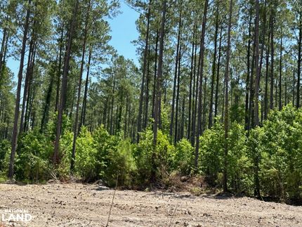 Property in Berkeley County, South Carolina