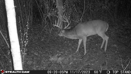 Property in Gallia County, Ohio