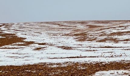 Property in Dixon County, Nebraska