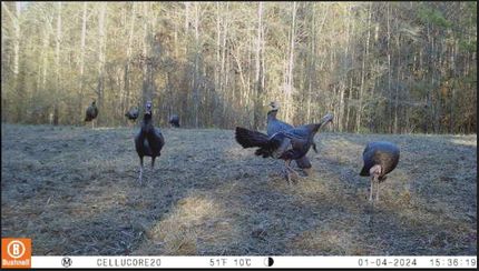 Recreational Property for sale in Shelby County, Alabama