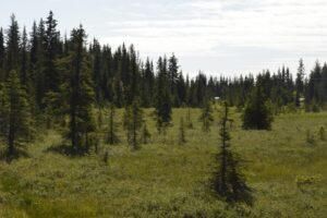 Property in Kenai Peninsula Borough, Alaska