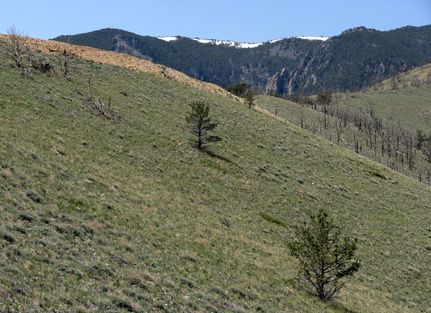 Property in Carbon County, Montana