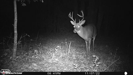 Property in Houston County, Alabama