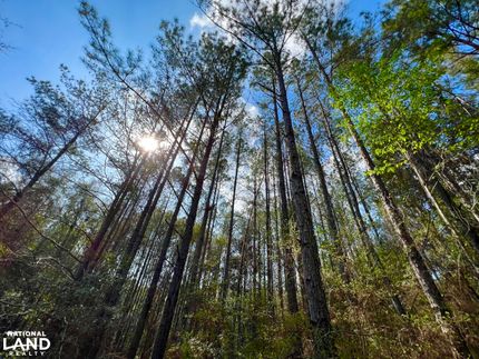 Property in Houston County, Alabama