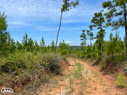 Property in Perry County, Alabama