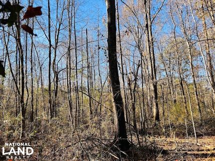 Property in Calhoun County, Alabama