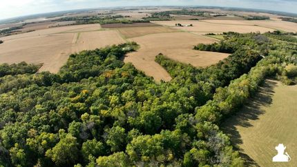Property in Hancock County, Illinois