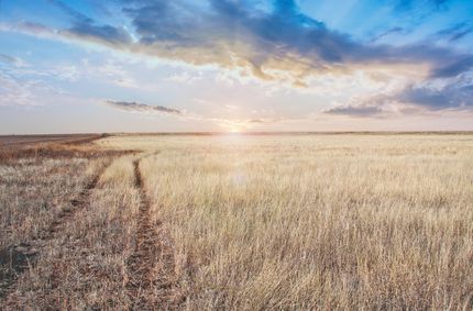Property in Deaf Smith County, Texas