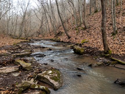 Property in Greenbrier County, West Virginia