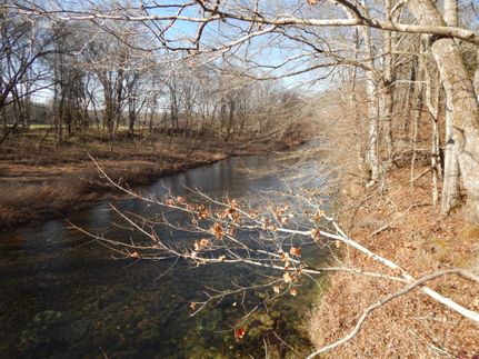 Property in Wayne County, Tennessee