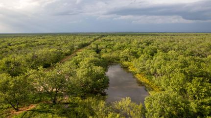 Property in Frio County, Texas