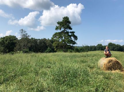 Waterfront Property for sale in Banks County, Georgia