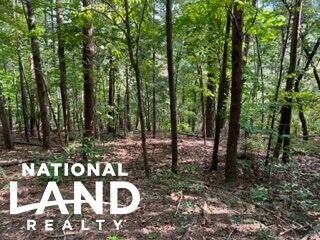 Property in Gordon County, Georgia