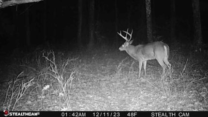 Property in Talbot County, Maryland