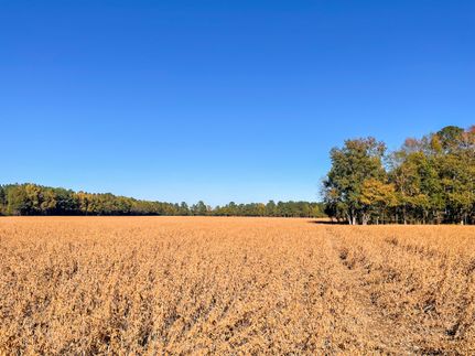 Property in Dillon County, South Carolina