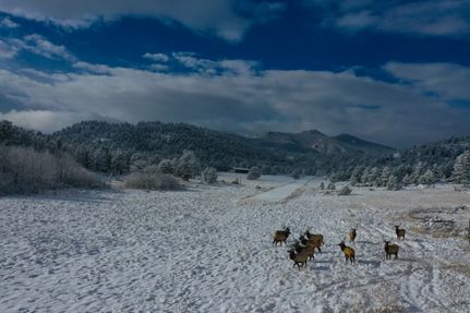 Property in Larimer County, Colorado