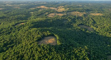 Property in Douglas County, Missouri