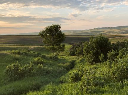 Property in Roosevelt County, Montana