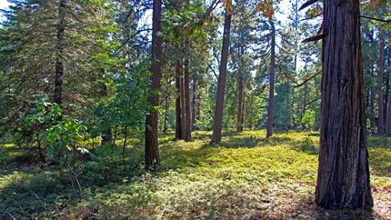 Property in El Dorado County, California