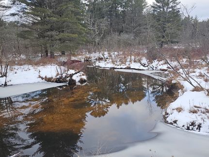 Property for sale in Herkimer County, New York