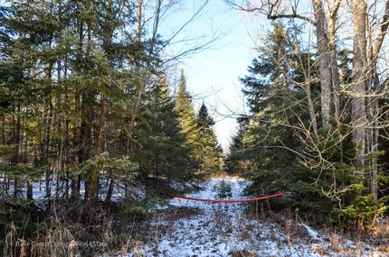 Hunting Land for sale in Price County, Wisconsin