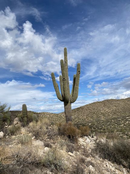 Property in Pinal County, Arizona