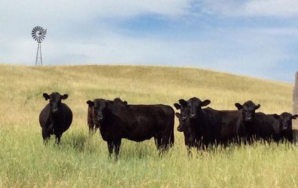 Property in Sioux County, Nebraska