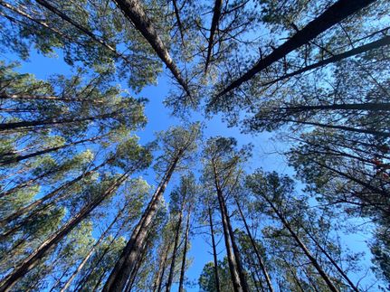 Property in Lafayette County, Mississippi