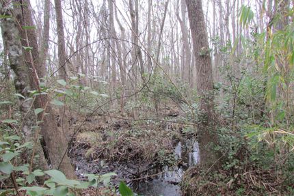 Property in Lee County, South Carolina