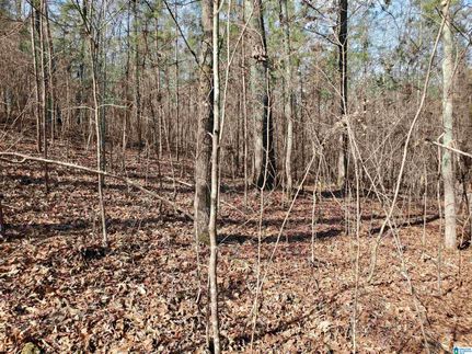 Property for sale in Saint Clair County, Alabama