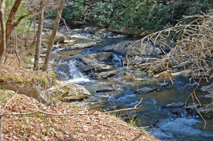 Property in Madison County, North Carolina