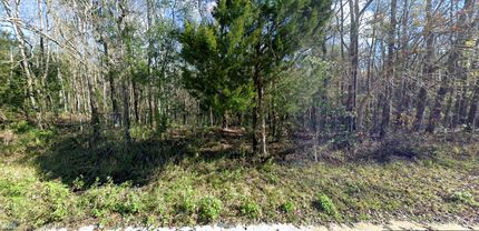 Property in Putnam County, Florida