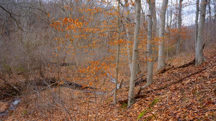 Property in Lawrence County, Ohio
