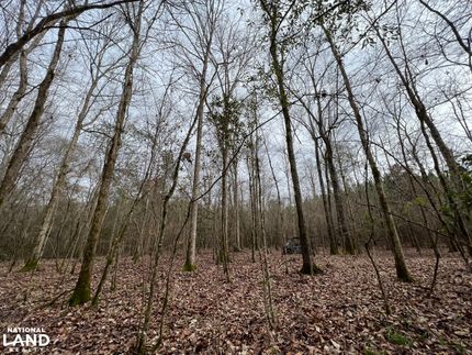 Property in Dale County, Alabama