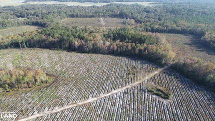 Property in McIntosh County, Georgia