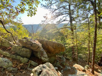 Undeveloped Land for sale in Pushmataha County, Oklahoma