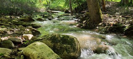 Property in Highland County, Virginia