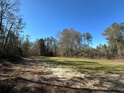 Property in Covington County, Alabama