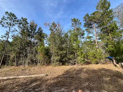 Property in Clay County, Florida