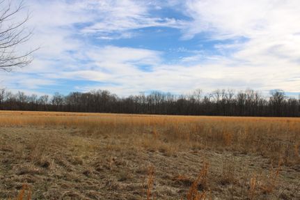 Property for sale in Marshall County, Mississippi