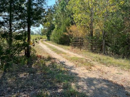 Property in Wilcox County, Alabama