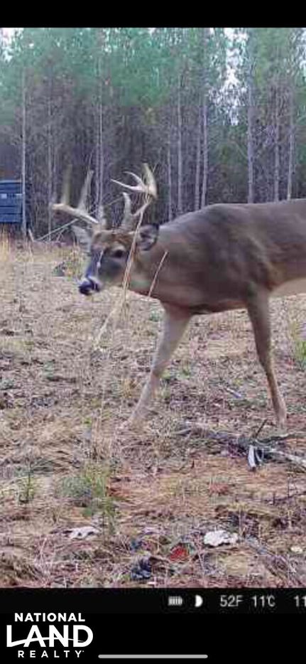 Property in Lawrence County, Alabama