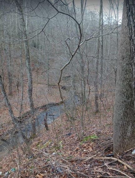 Property in Braxton County, West Virginia