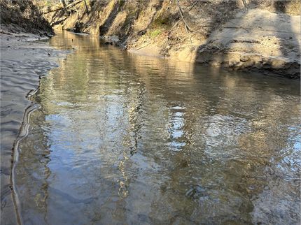 Property in San Augustine County, Texas