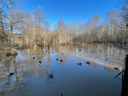 Property in Crockett County, Tennessee