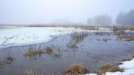 Property in Juneau County, Wisconsin