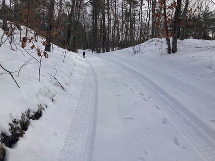 Property in York County, Maine