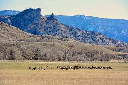 Property in Park County, Wyoming