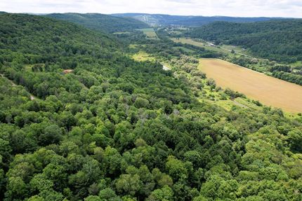 Property in Cattaraugus County, New York