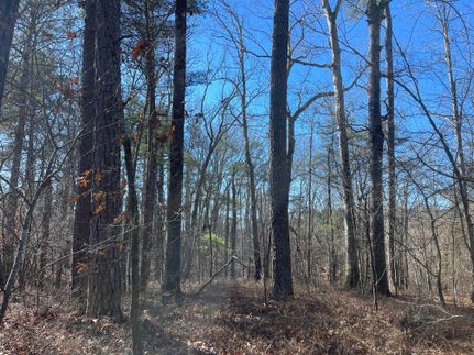 Property in Tuscaloosa County, Alabama